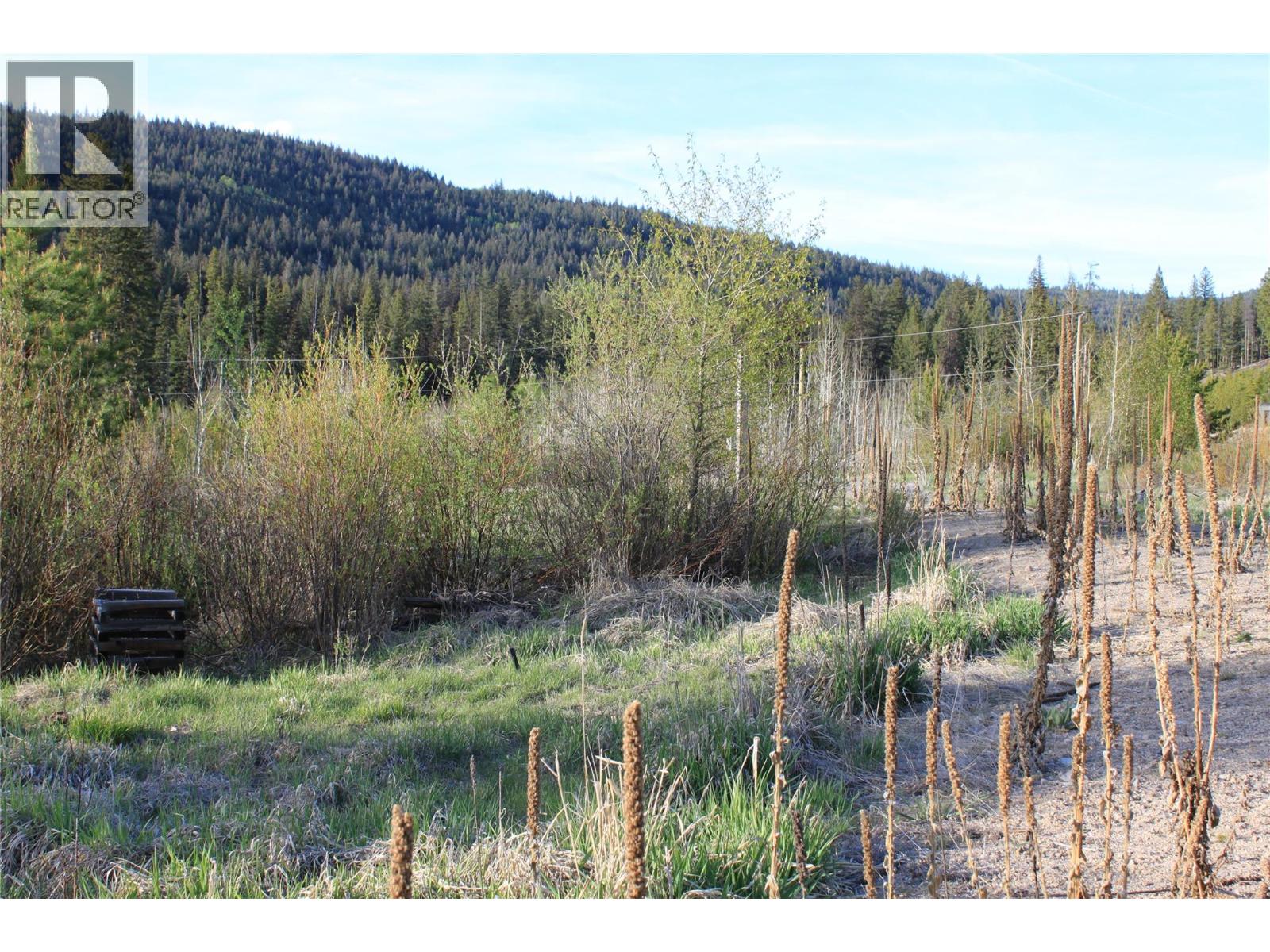 135 Secret Creek Place, Princeton, British Columbia  V0X 1W0 - Photo 16 - 10371862