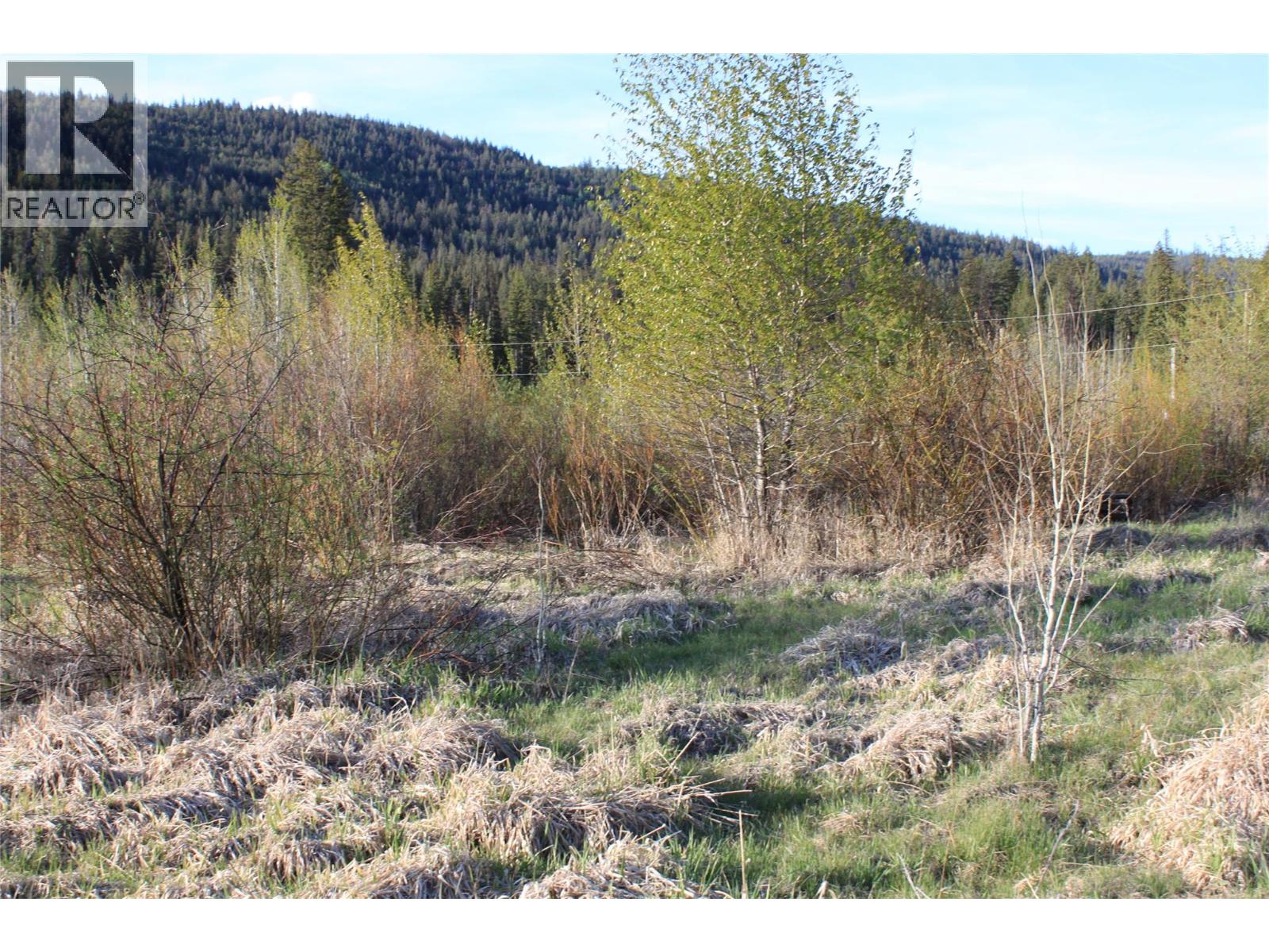 135 Secret Creek Place, Princeton, British Columbia  V0X 1W0 - Photo 13 - 10371862