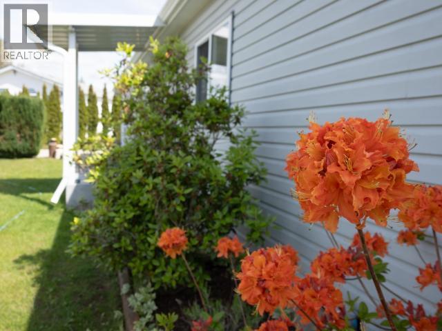 7310 Collingwood Way, Powell River, British Columbia V8A 5V2 - Photo 12 - 20235