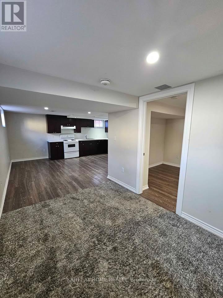 Lower - 707 Hortop Street, Oshawa, Ontario  L1G 4N7 - Photo 8 - E13817290