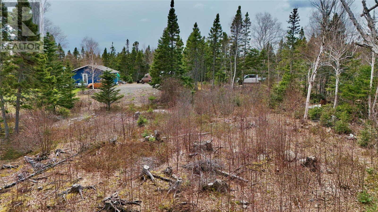 Lot 1 Angle Pond Road, Thorburn Lake, Newfoundland & Labrador  A0C 2G0 - Photo 7 - 1297353