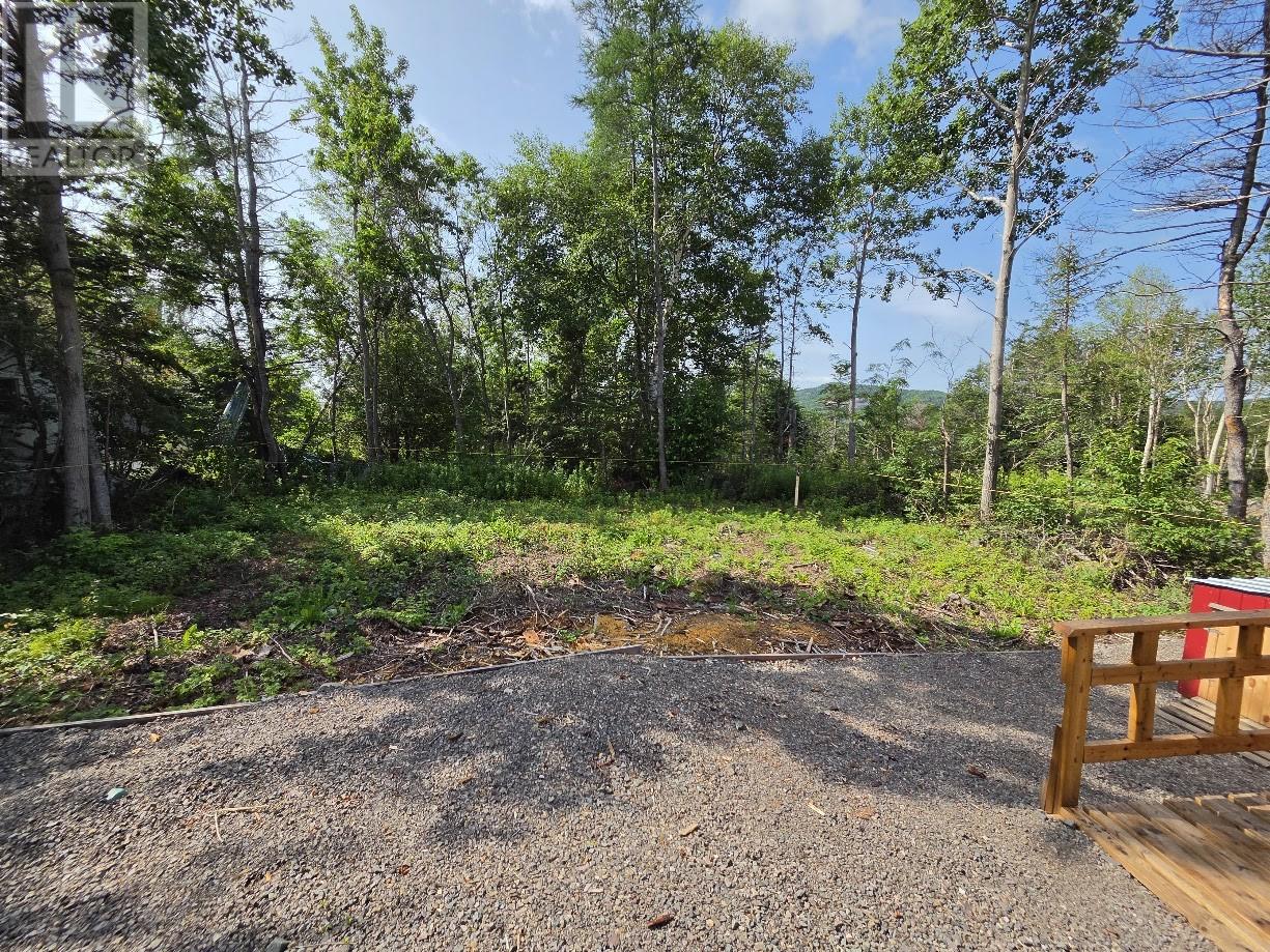 30 Ryder's Brook Road, Georges Brook-Milton, Newfoundland & Labrador  A5A 0K0 - Photo 36 - 1301920
