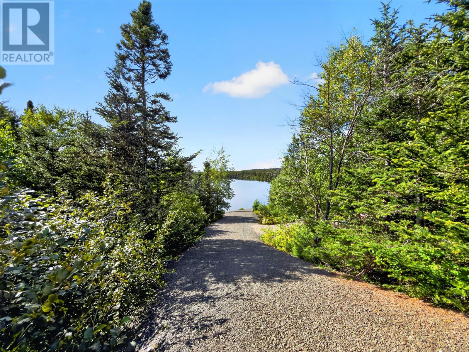 31 Slades Road, Port Blandford, Newfoundland & Labrador  A0C 2G0 - Photo 40 - 1303549