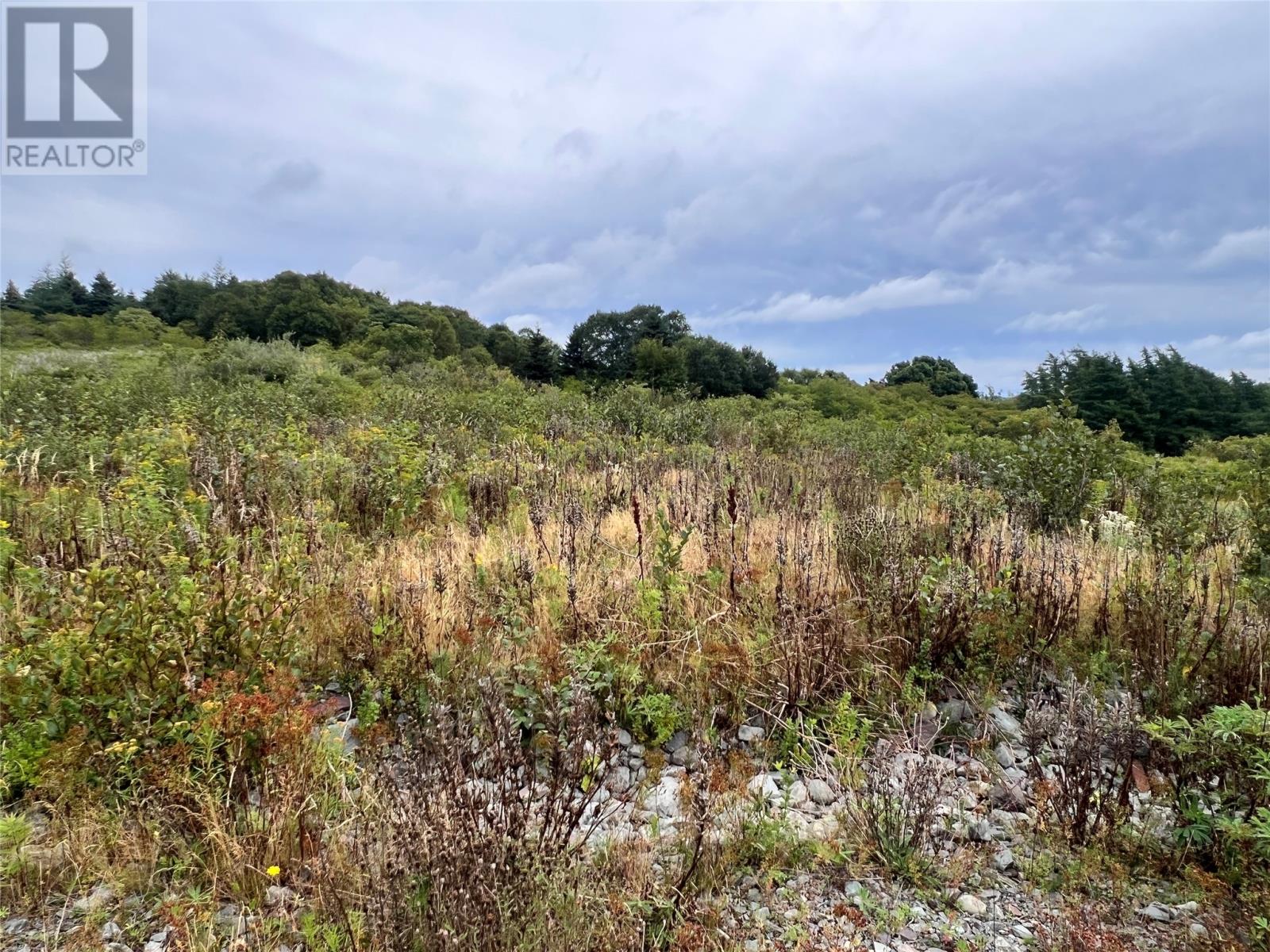 Lot 6 Southside Place, Bay Roberts, Newfoundland & Labrador  A0A 1X0 - Photo 3 - 1303547