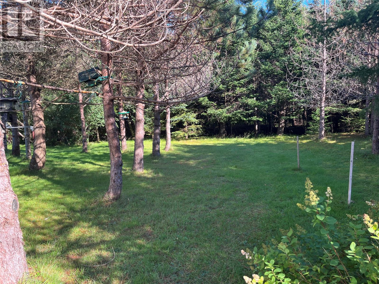 7-13 O’briens Road, Witless Bay, Newfoundland & Labrador  A0A 4k0 - Photo 6 - 1303550