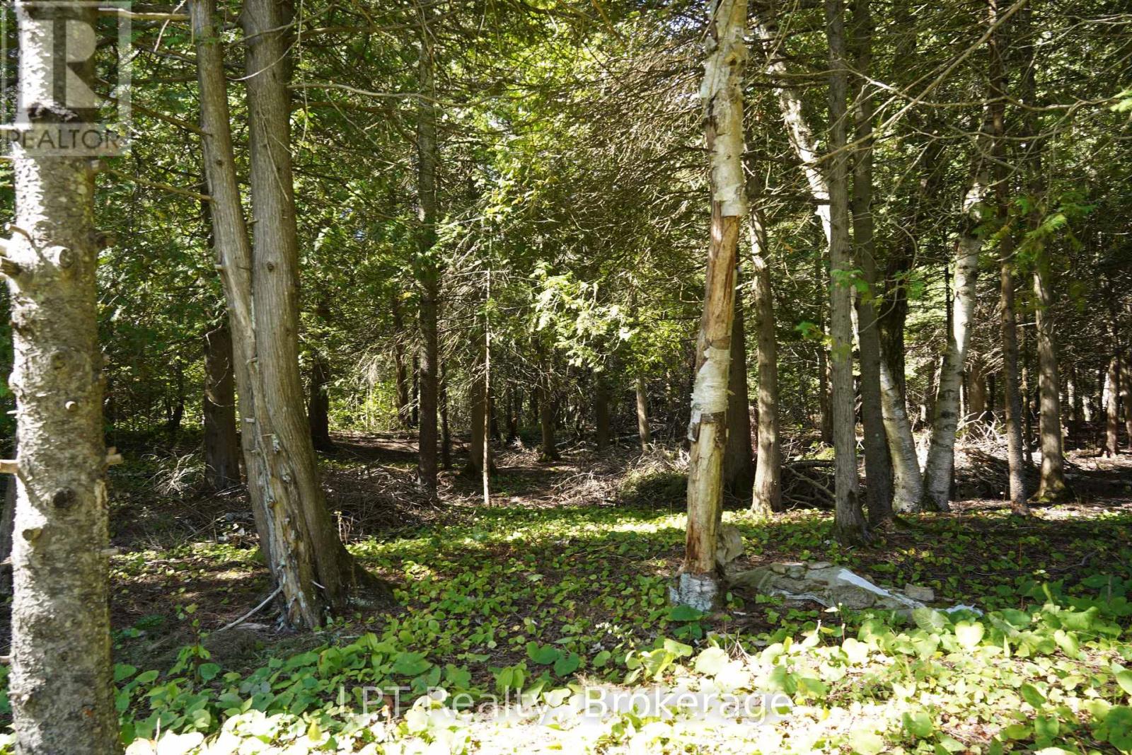 317 Isthmus Bay Road, Northern Bruce Peninsula, Ontario  N0H 1W0 - Photo 28 - X13817398