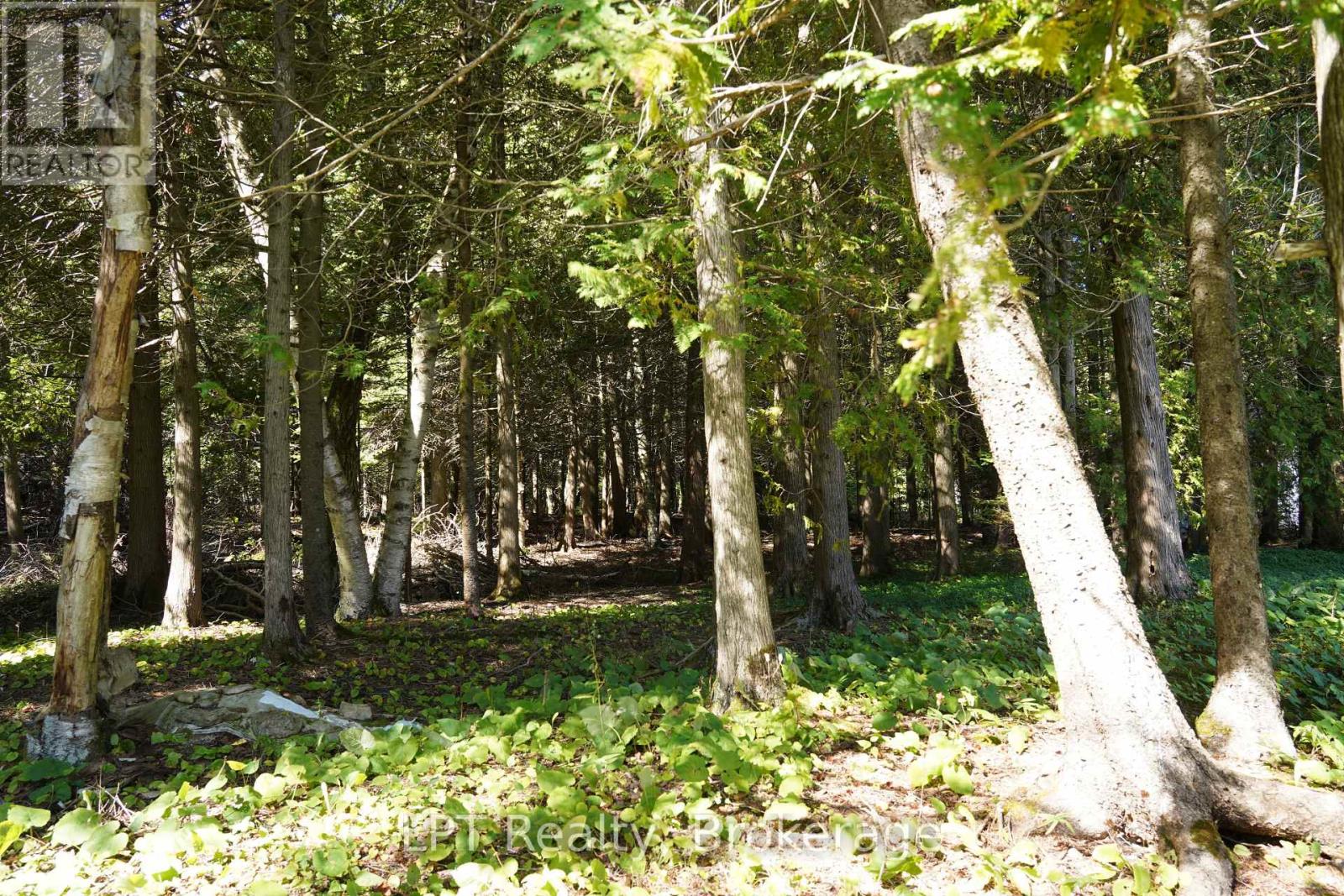 317 Isthmus Bay Road, Northern Bruce Peninsula, Ontario  N0H 1W0 - Photo 29 - X13817398