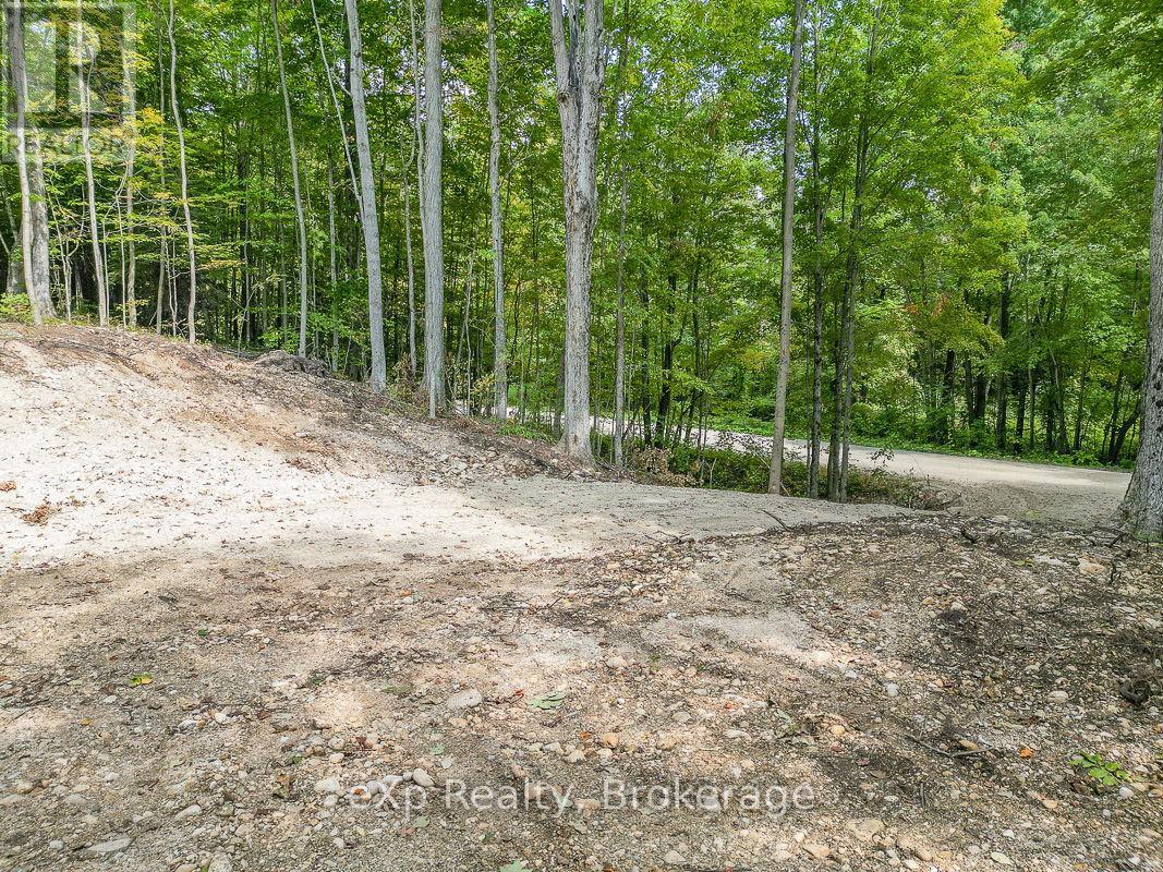 Pt Lt 15 Baseline Road, West Grey, Ontario N0C 1H0 - Photo 13 - X13817558