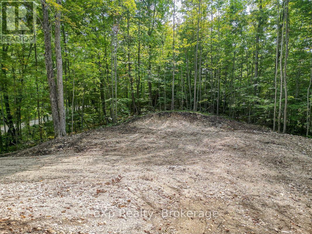 Pt Lt 15 Baseline Road, West Grey, Ontario N0C 1H0 - Photo 14 - X13817558