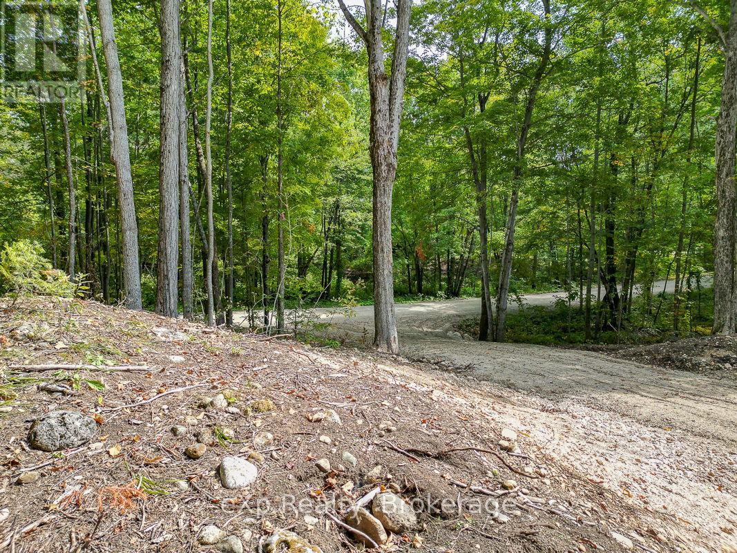 Pt Lt 15 Baseline Road, West Grey, Ontario N0C 1H0 - Photo 15 - X13817558