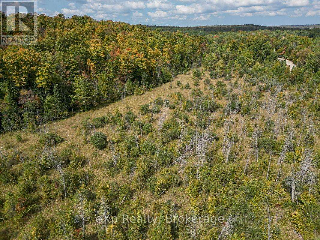 Pt Lt 15 Baseline Road, West Grey, Ontario N0C 1H0 - Photo 8 - X13817558
