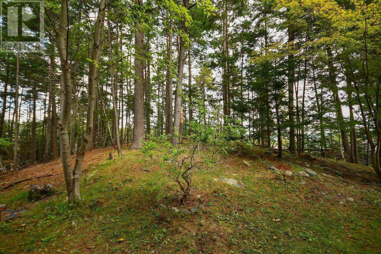 69 Amin Street, Bedford, Nova Scotia  B4A 4B8 - Photo 47 - 202624096