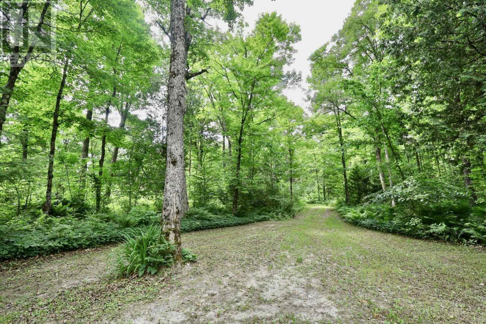 190 Byes Side Rd, Goulais River, Ontario  P0S 1E0 - Photo 17 - SM261748