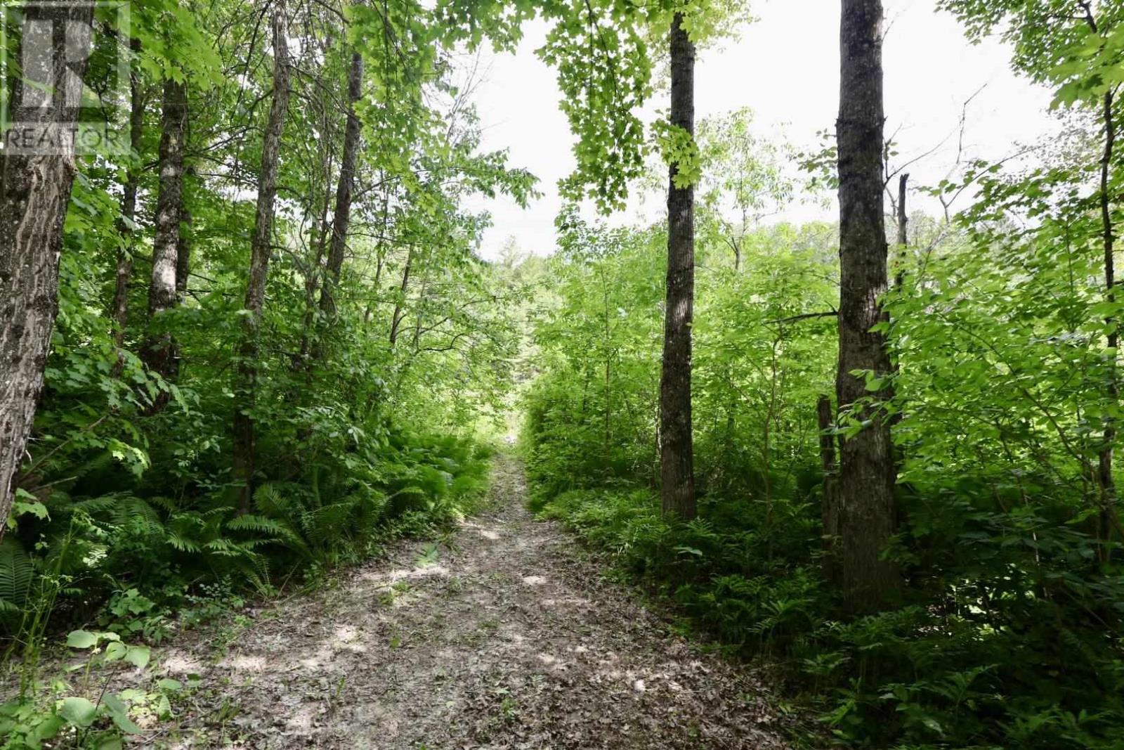190 Byes Side Rd, Goulais River, Ontario  P0S 1E0 - Photo 4 - SM261748