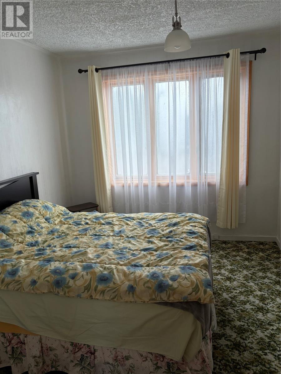 26 Mount Pleasant Avenue, St. John's, Newfoundland & Labrador  A1C 5G7 - Photo 15 - 1303567