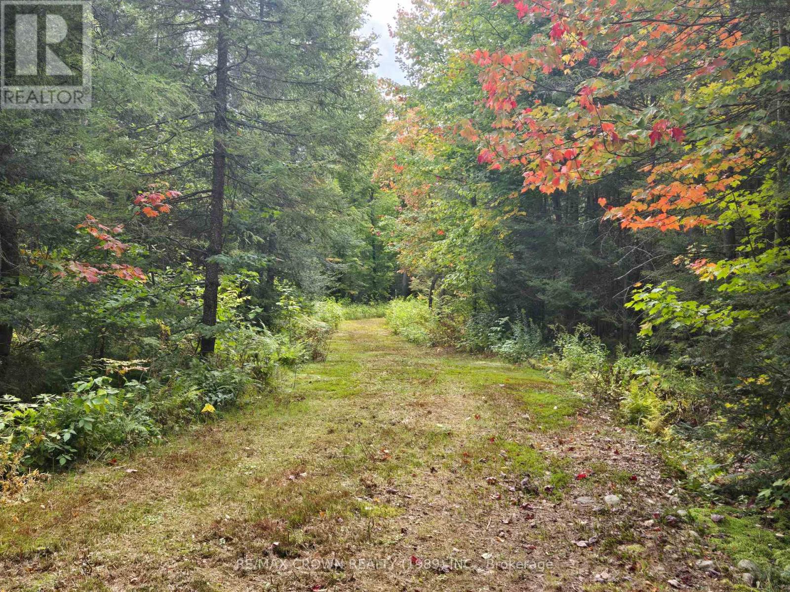 135 Simpson Hill Road, Machar, Ontario  P0H 1W0 - Photo 2 - X13817638