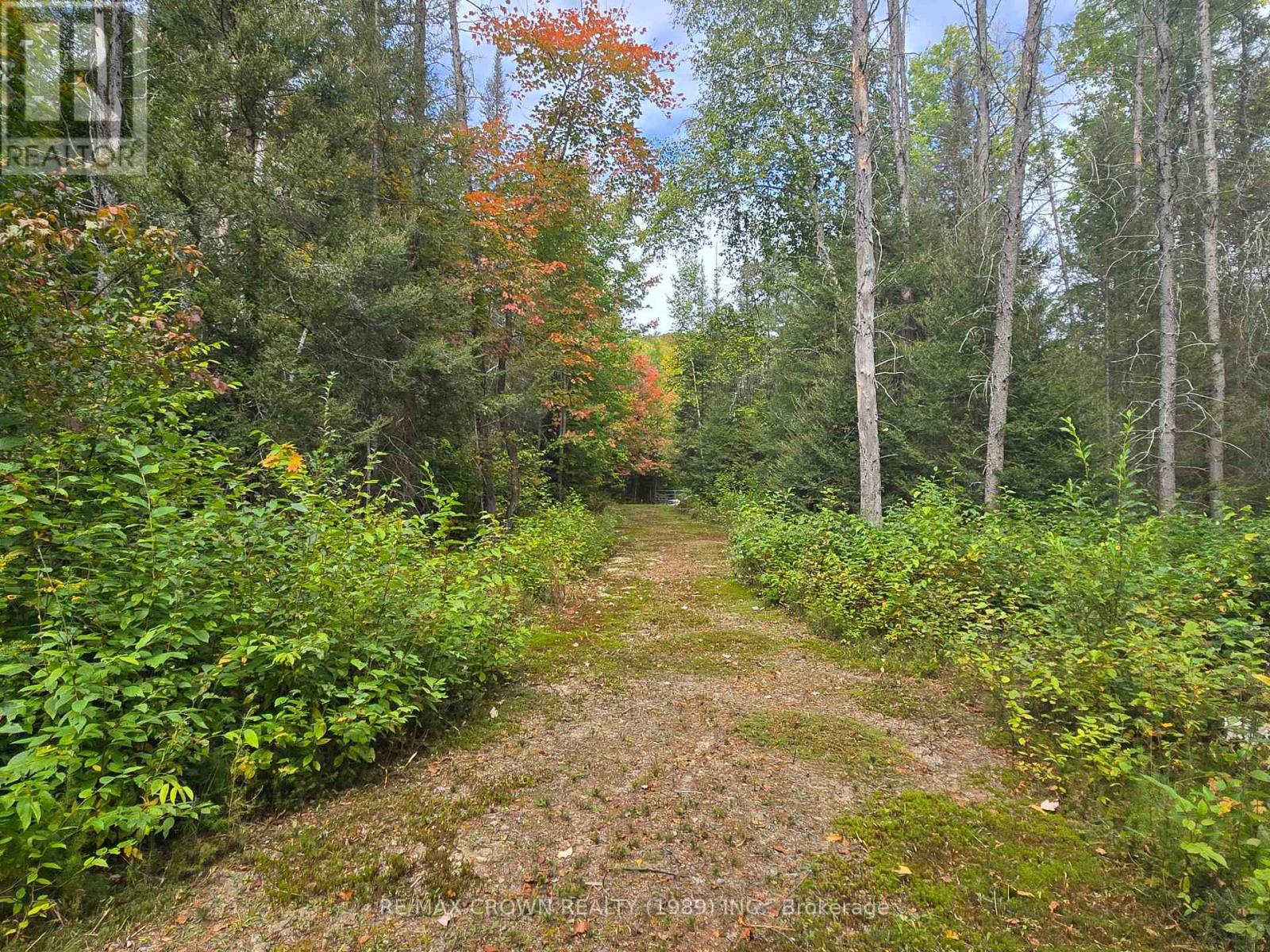 135 Simpson Hill Road, Machar, Ontario  P0H 1W0 - Photo 6 - X13817638