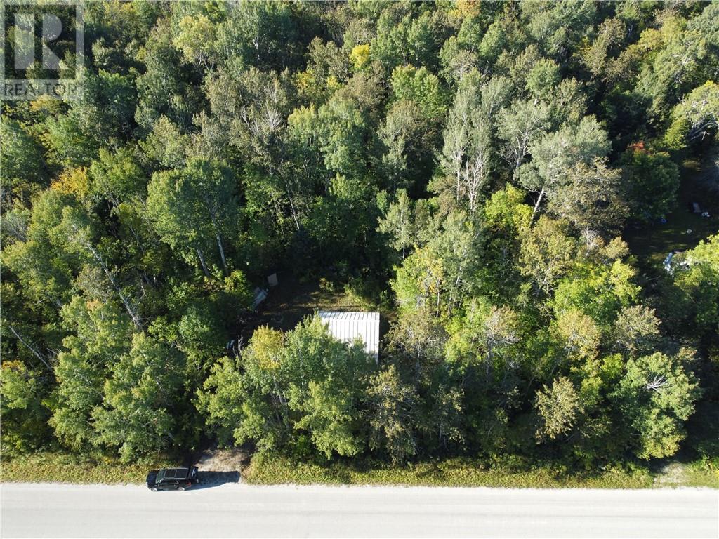 Lot 16 South Bay Drive, Assiginack, Ontario  P0P 1N0 - Photo 10 - 2130491