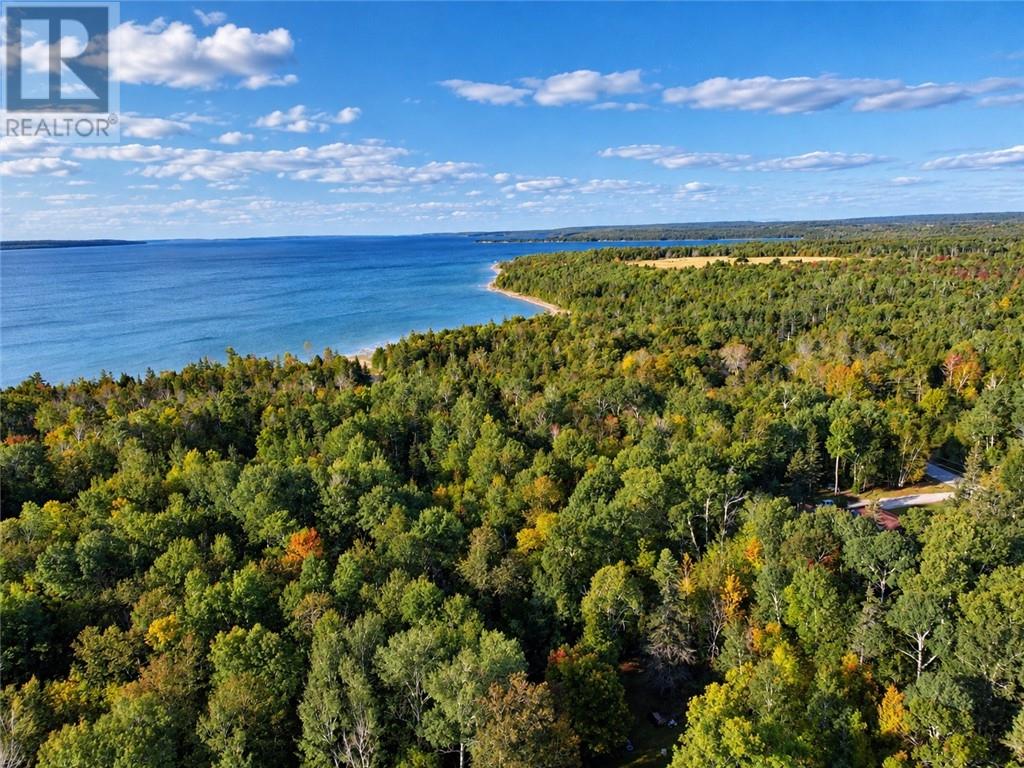 Lot 16 South Bay Drive, Assiginack, Ontario  P0P 1N0 - Photo 11 - 2130491
