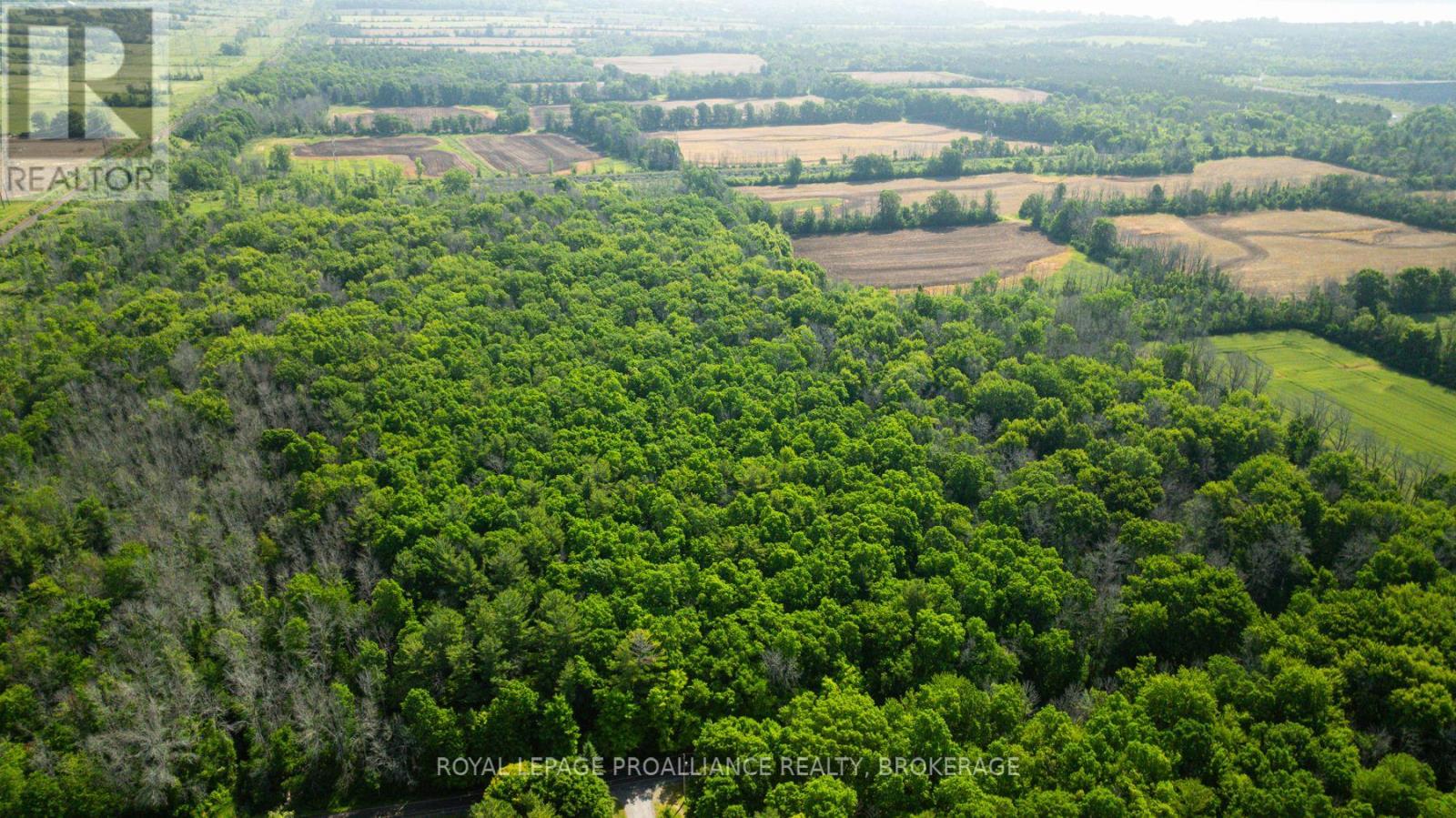 Lot B Townline Road, Loyalist, Ontario  K0H 1G0 - Photo 10 - X13818116