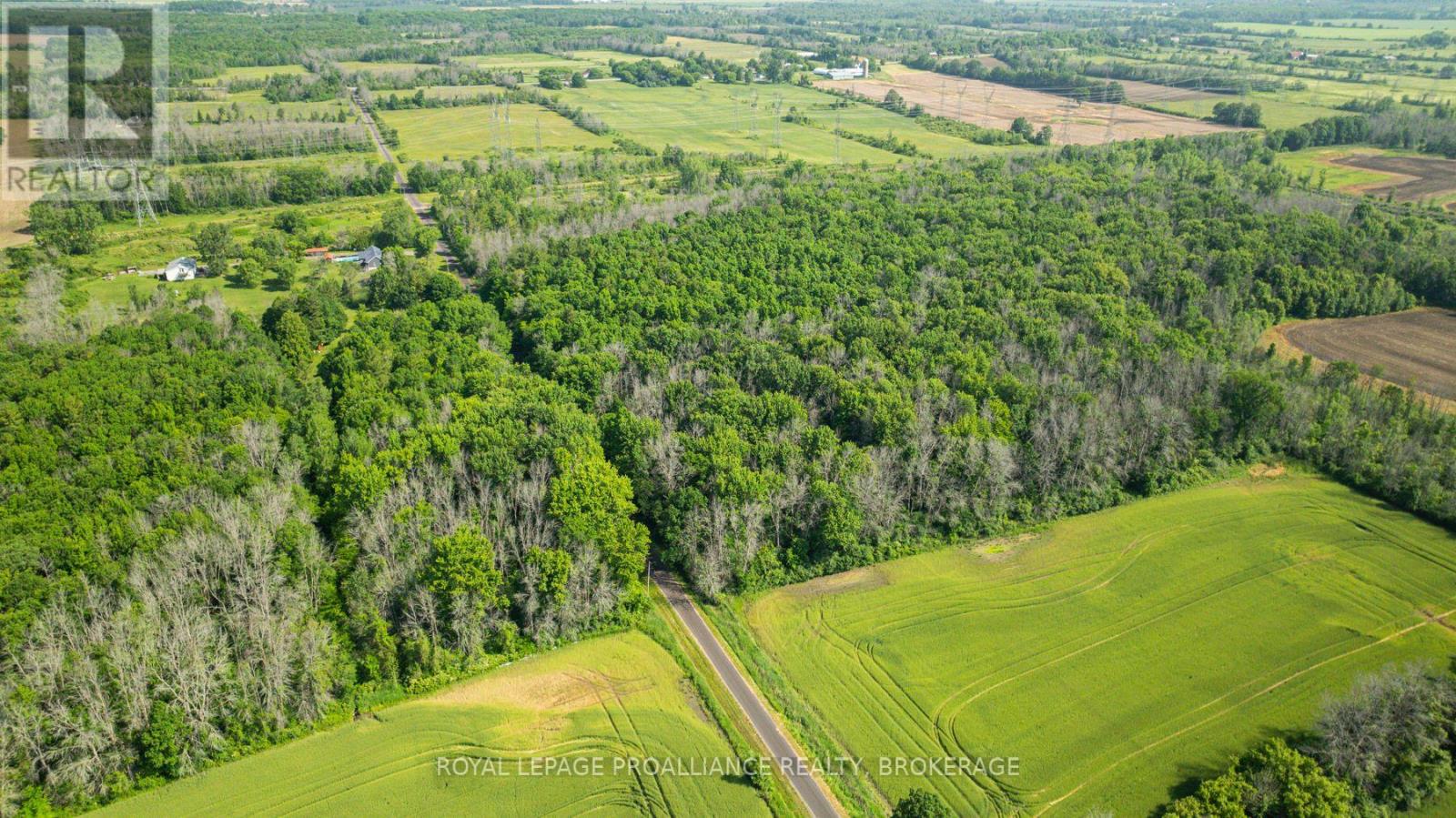 Lot B Townline Road, Loyalist, Ontario  K0H 1G0 - Photo 8 - X13818116