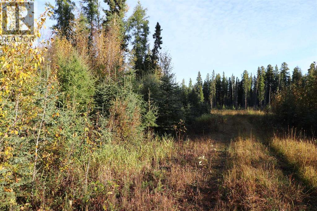 NW-17-56-14, Rural Yellowhead County, Alberta T7E 3S2 - Photo 4 - A2345451