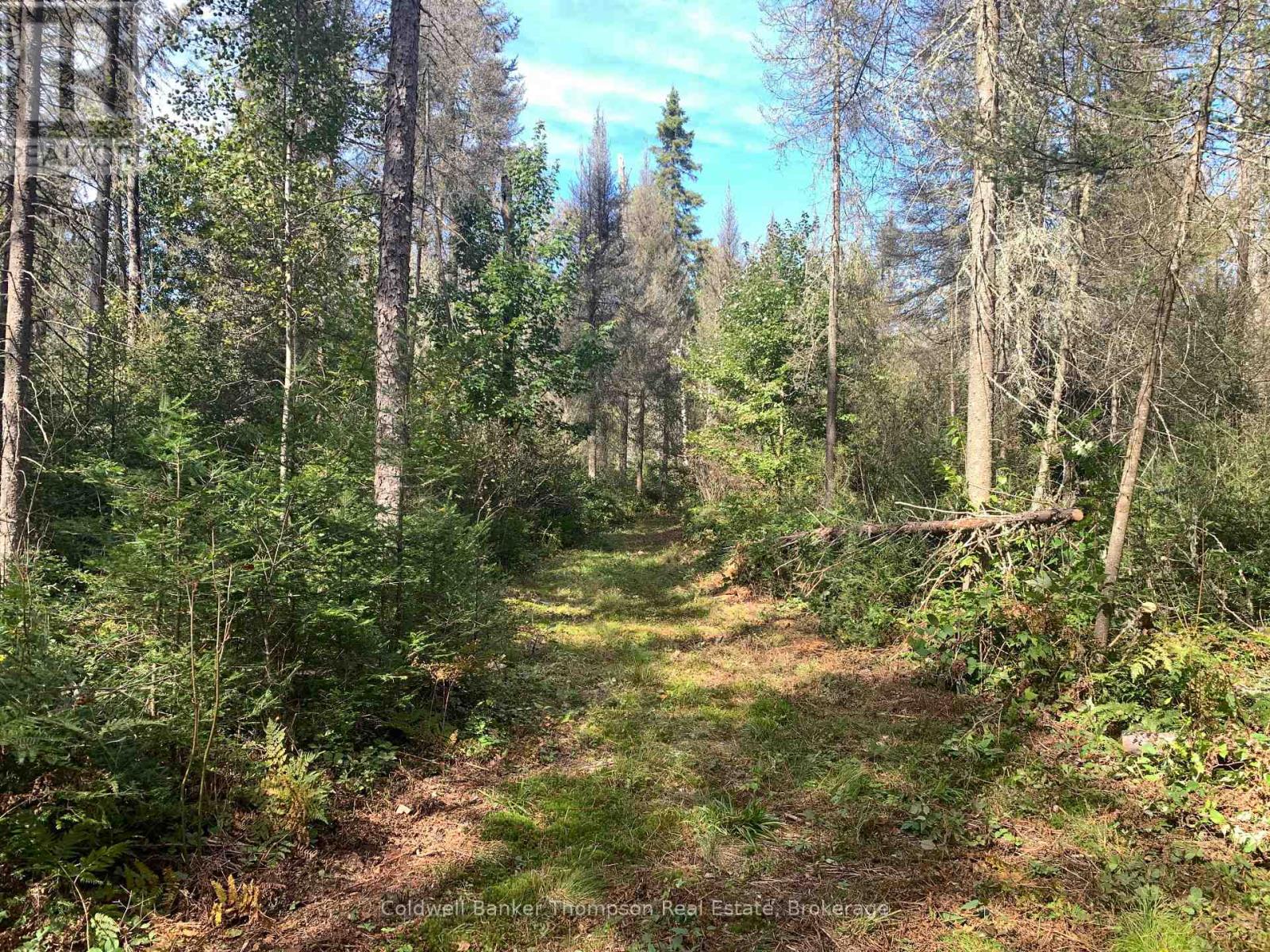 Lot 1 Brennan's Road, Joly, Ontario  P0A 1Z0 - Photo 23 - X13634128