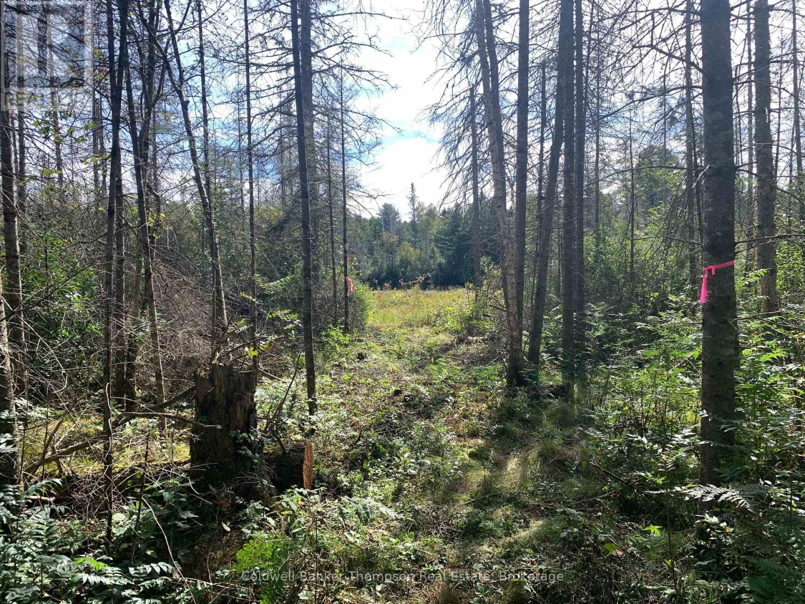 Lot 1 Brennan's Road, Joly, Ontario  P0A 1Z0 - Photo 6 - X13634128