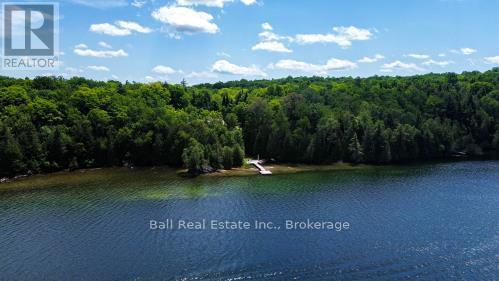 240 Stringer Drive, Faraday, Ontario  K0L 1C0 - Photo 47 - X13523046
