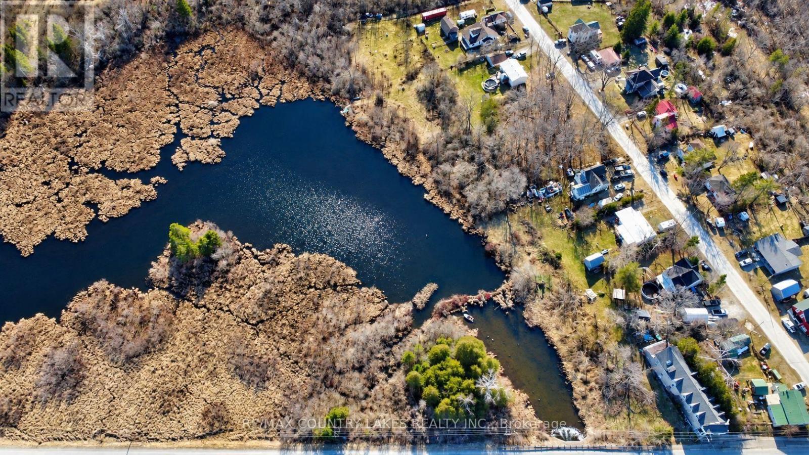 Lt 5 Victoria Road, Kawartha Lakes, Ontario  K0M 2B0 - Photo 11 - X13817866