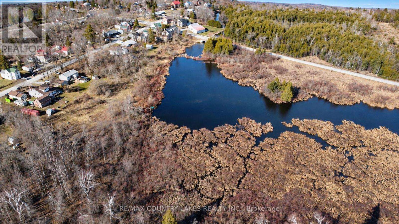 Lt 5 Victoria Road, Kawartha Lakes, Ontario  K0M 2B0 - Photo 3 - X13817866