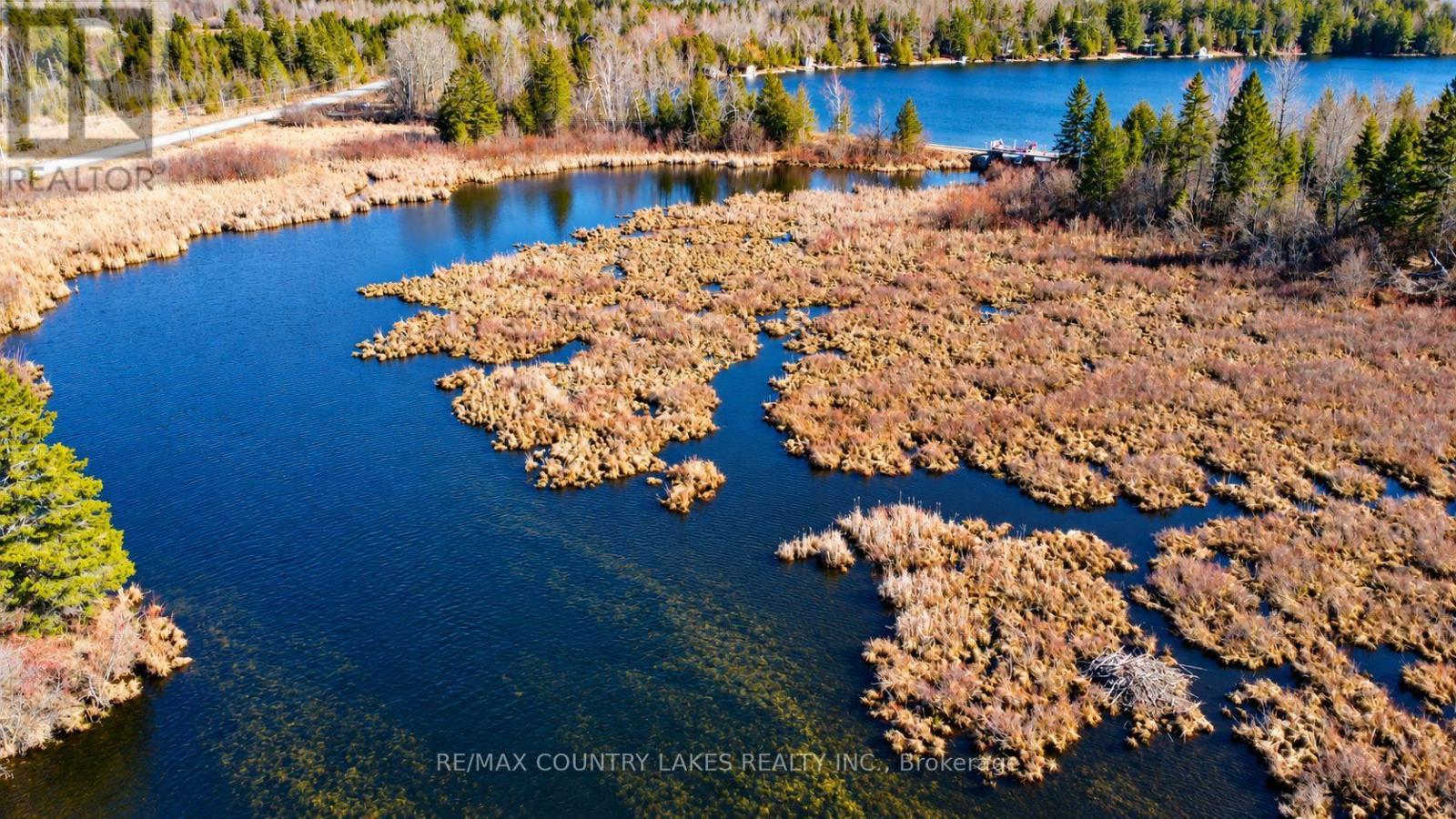 Lt 5 Victoria Road, Kawartha Lakes, Ontario  K0M 2B0 - Photo 4 - X13817866