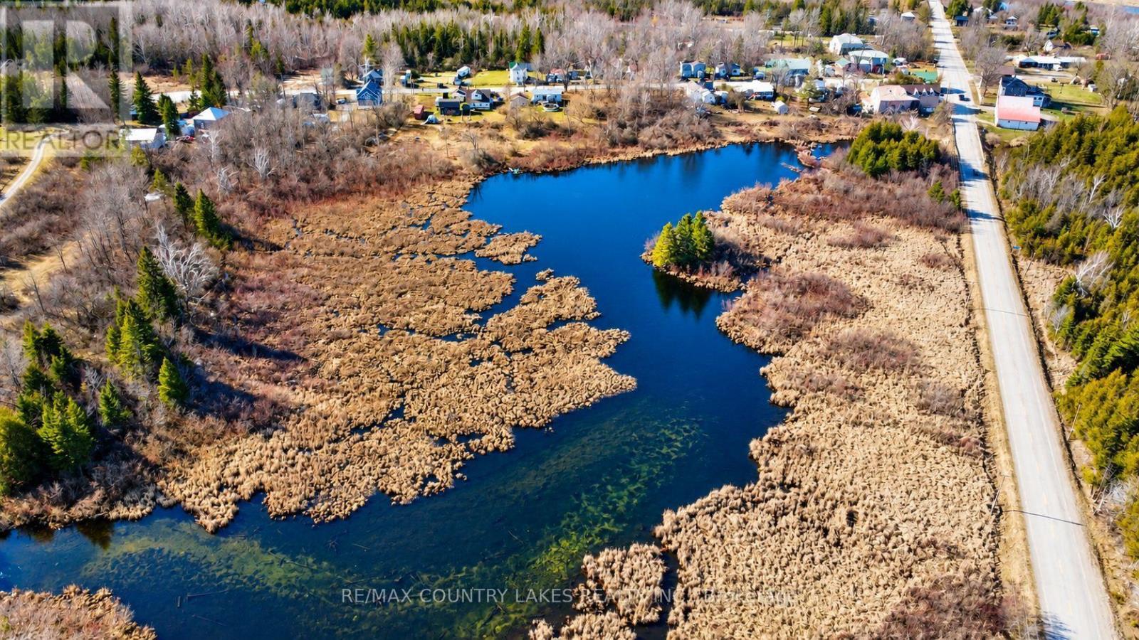 Lt 5 Victoria Road, Kawartha Lakes, Ontario  K0M 2B0 - Photo 6 - X13817866