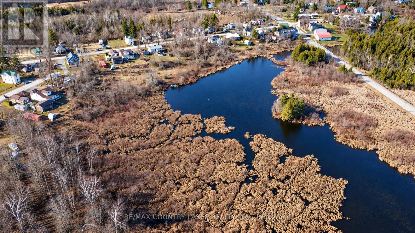 Lt 5 Victoria Road, Kawartha Lakes, Ontario  K0M 2B0 - Photo 7 - X13817866
