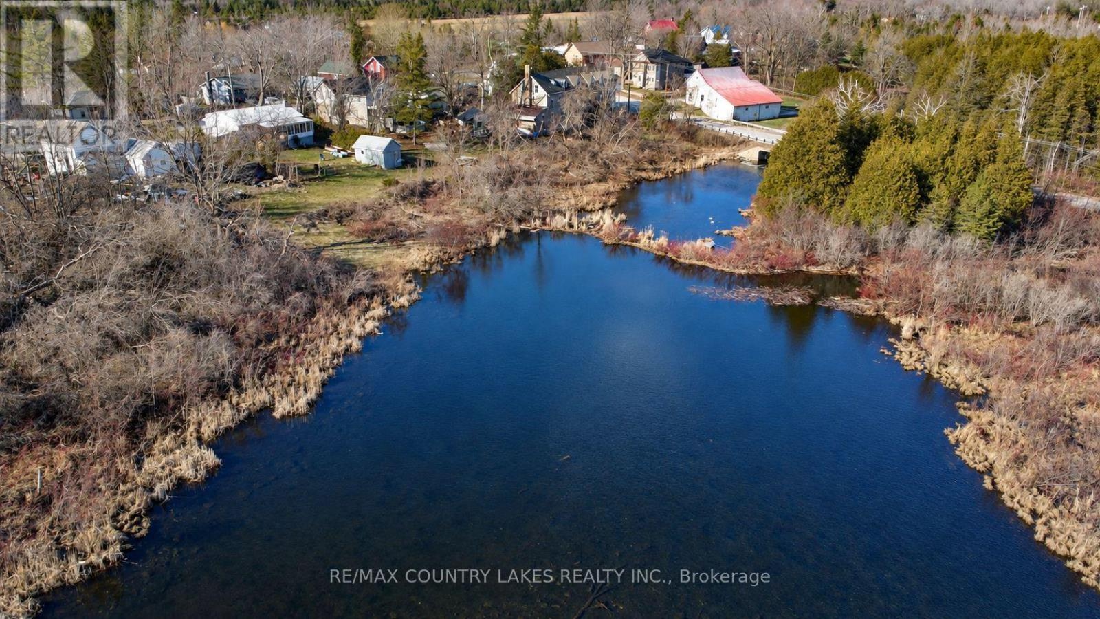 Lt 5 Victoria Road, Kawartha Lakes, Ontario  K0M 2B0 - Photo 9 - X13817866