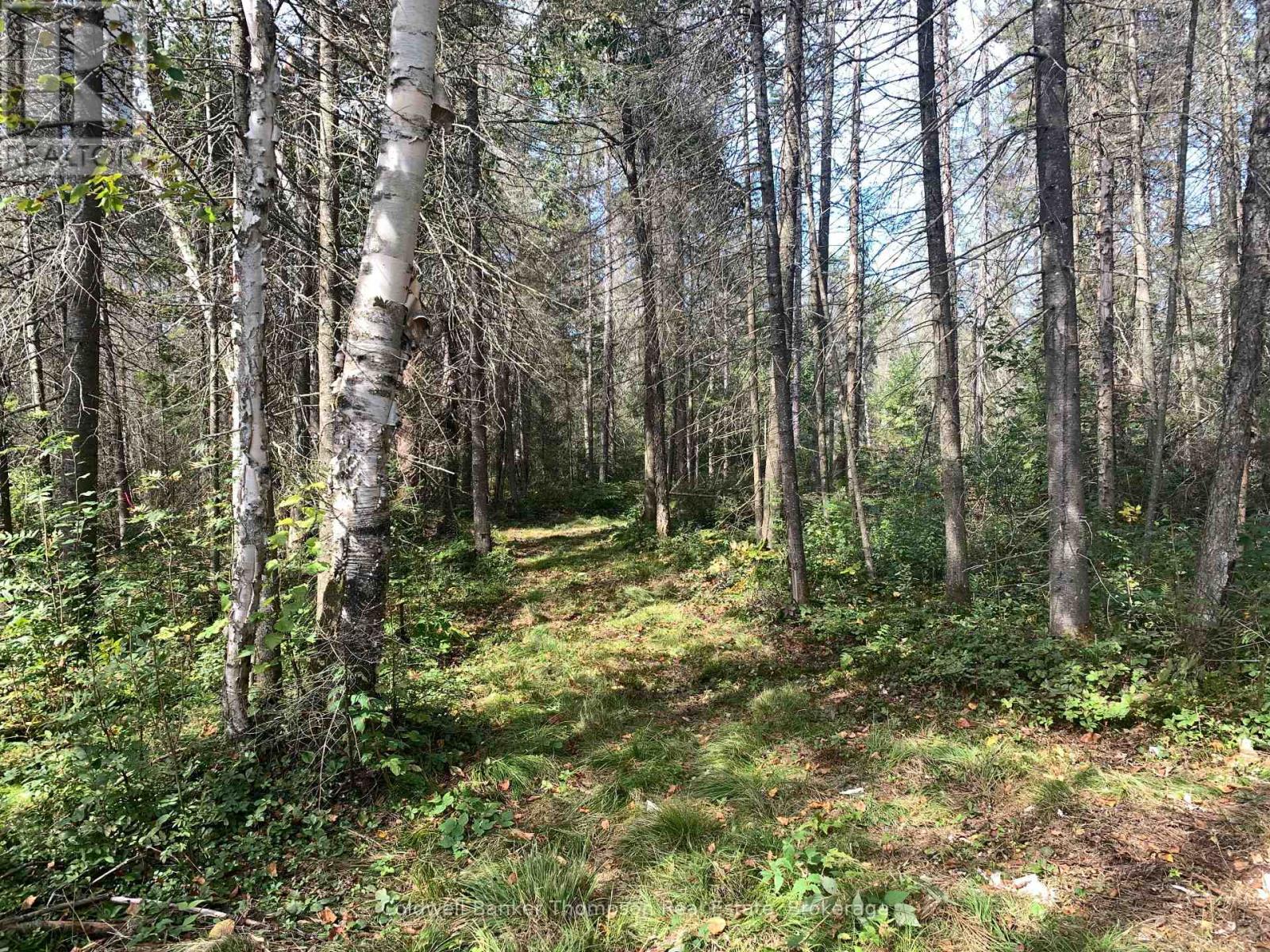 Lot 3 Brennan's Road, Joly, Ontario P0A 1Z0 - Photo 32 - X13632224
