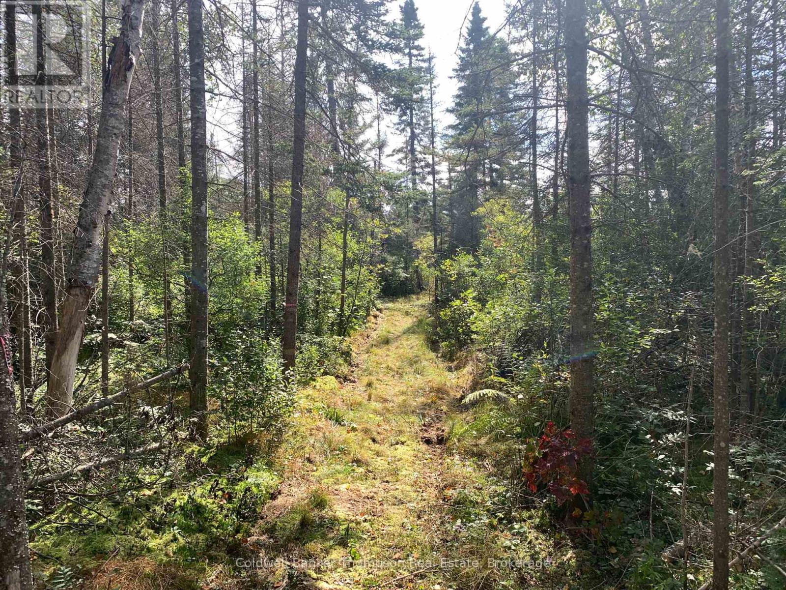 Lot 3 Brennan's Road, Joly, Ontario P0A 1Z0 - Photo 28 - X13632224