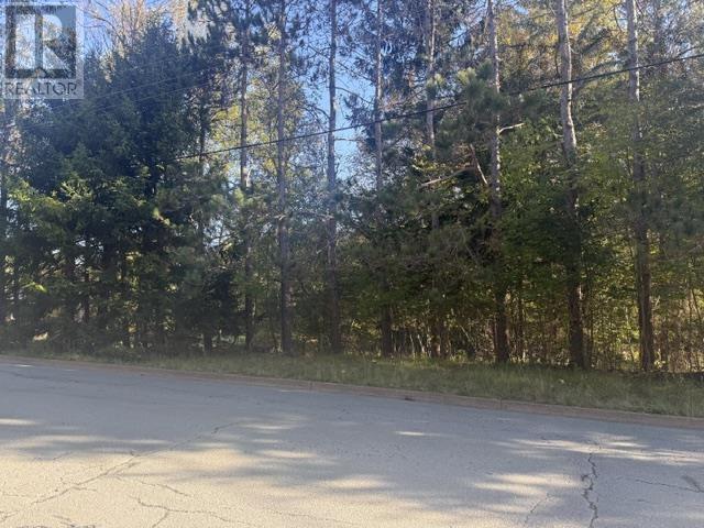 7 Olympiad Avenue, Bridgewater, Nova Scotia  B4V 3S5 - Photo 1 - 202624120