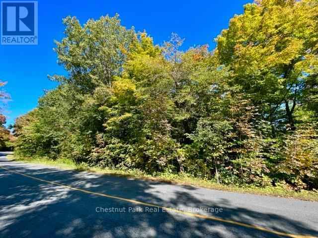 0 Acton Island Road, Muskoka Lakes, Ontario  P0B 1J0 - Photo 10 - X13488426