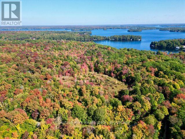 0 Acton Island Road, Muskoka Lakes, Ontario  P0B 1J0 - Photo 7 - X13488426