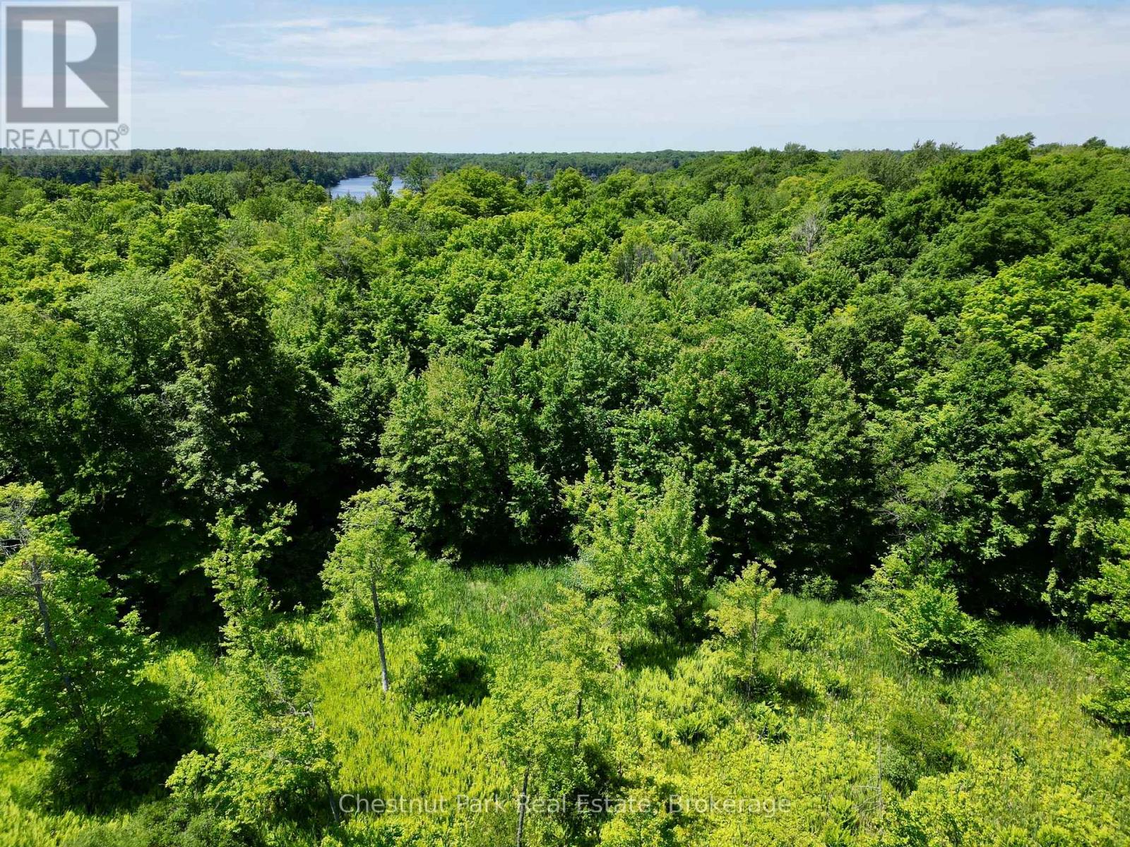 0 Acton Island Road, Muskoka Lakes, Ontario  P0B 1J0 - Photo 13 - X13488426
