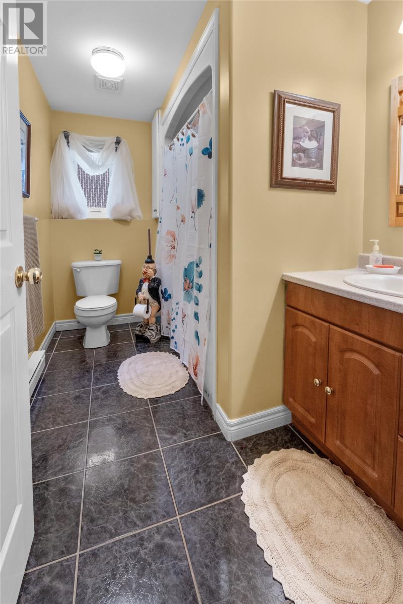 3 Hodder Place, Mount Pearl, Newfoundland & Labrador  A1N 5C2 - Photo 32 - 1303544