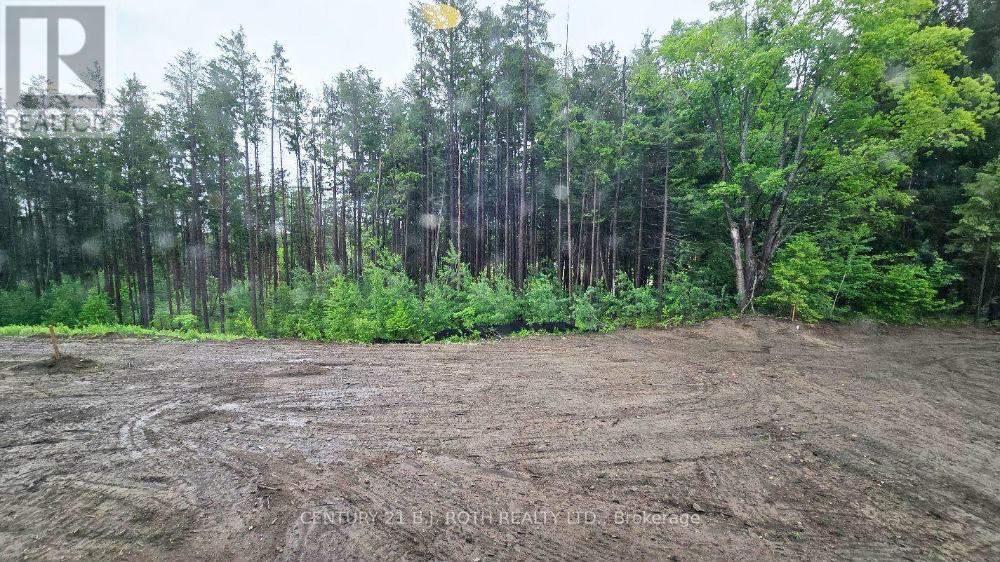51 Ruby Ridge, Oro-Medonte (Sugarbush), Ontario  L0L 2E0 - Photo 18 - S13818526