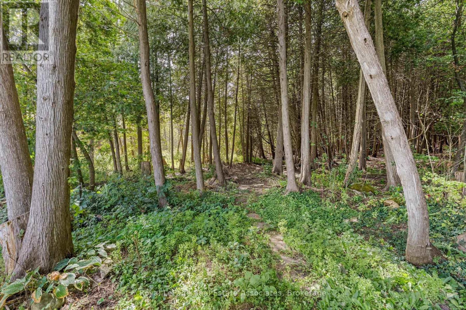 132 Elmore Drive, Halton Hills, Ontario  L7J 1T2 - Photo 40 - W13818338