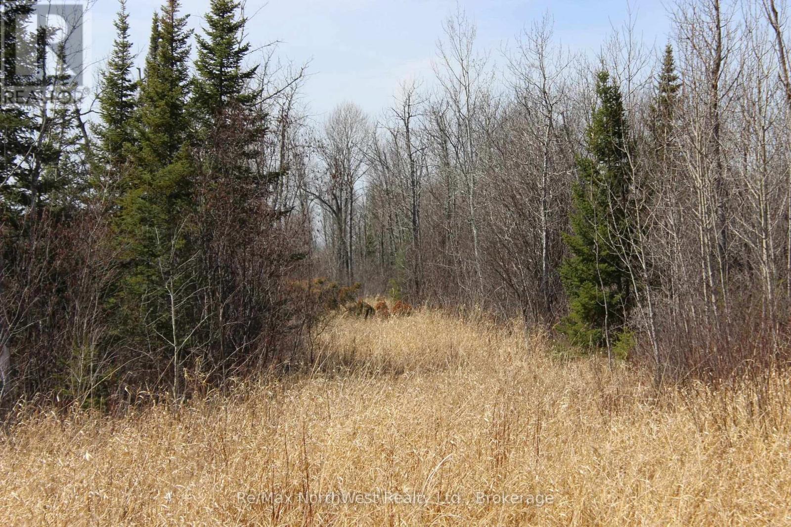 Pcl 14-11 Hwy 11, Chapple, Ontario  P0W 1N0 - Photo 12 - X13250410