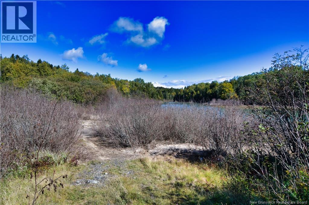Vacant Lots Swimming Pool Road, Welshpool, New Brunswick  E5E 1H4 - Photo 21 - NB148203