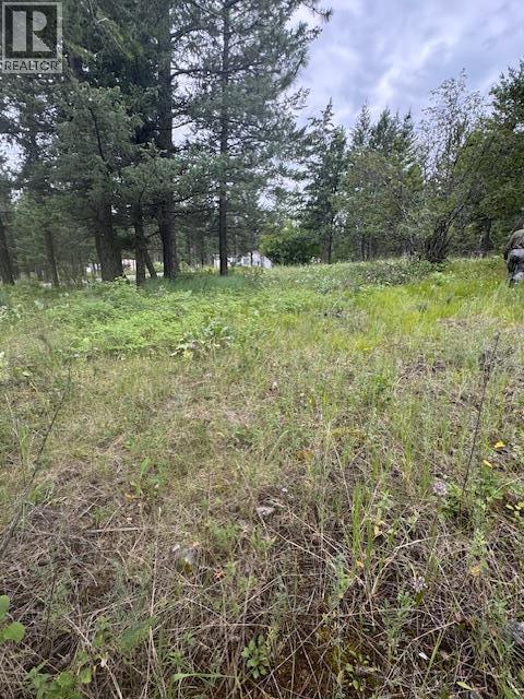 Lot 53 Hirtz Street, Elko, British Columbia