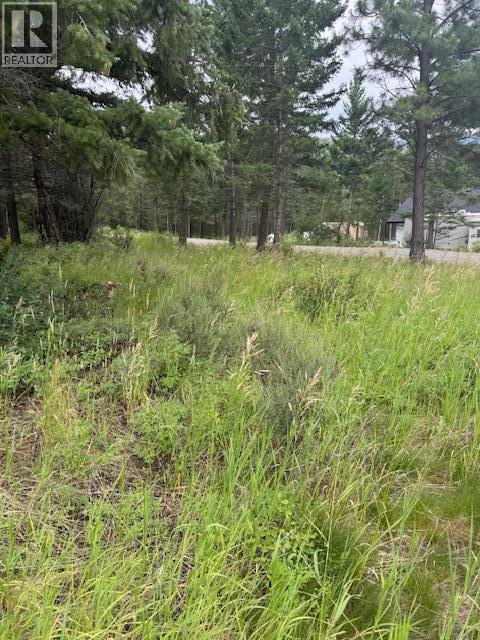 Lot 56 Charles Street, Elko, British Columbia