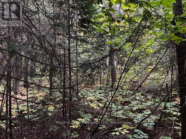 2 Shore Road, Saugeen Shores, Ontario  N0H 2L0 - Photo 8 - X12518498