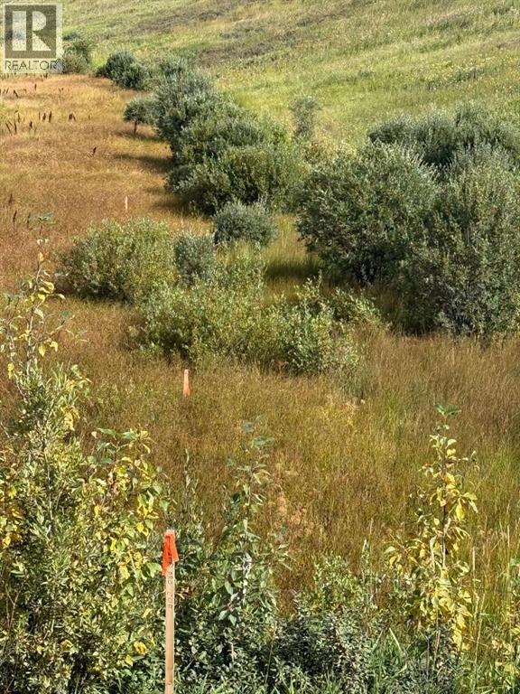 East Boundary